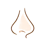 Traitement vasculaire nez